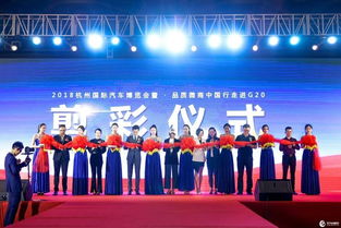 聚焦发展 2018中国杭州国际汽车博览会盛况回顾——承接务实拓新各类经济技术策源地